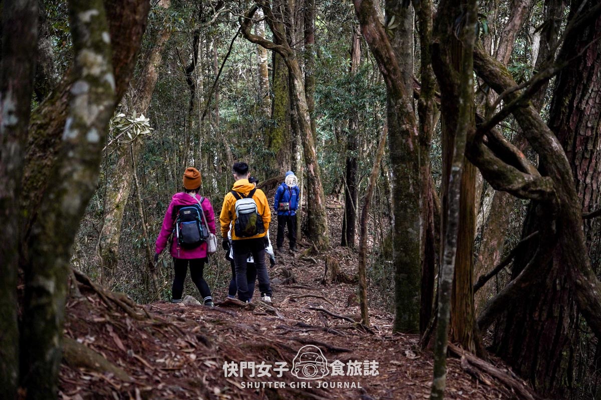【稍來山】網美鳶嘴山縱走小百岳 x 號稱台灣小阿爾卑斯山 x 懼高挑戰中級山
