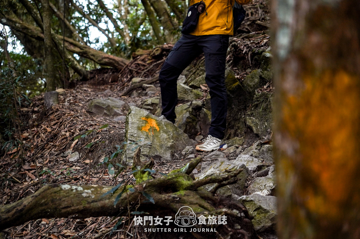 【稍來山】網美鳶嘴山縱走小百岳 x 號稱台灣小阿爾卑斯山 x 懼高挑戰中級山