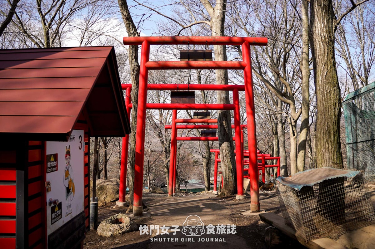 【日本 宮城縣】藏王狐狸村 x 近距離觀賞可愛狐狸 x 體驗抱可愛狐狸 - 第13張圖 【日本 宮城縣】藏王狐狸村 x 近距離觀賞可愛狐狸 x 體驗抱可愛狐狸