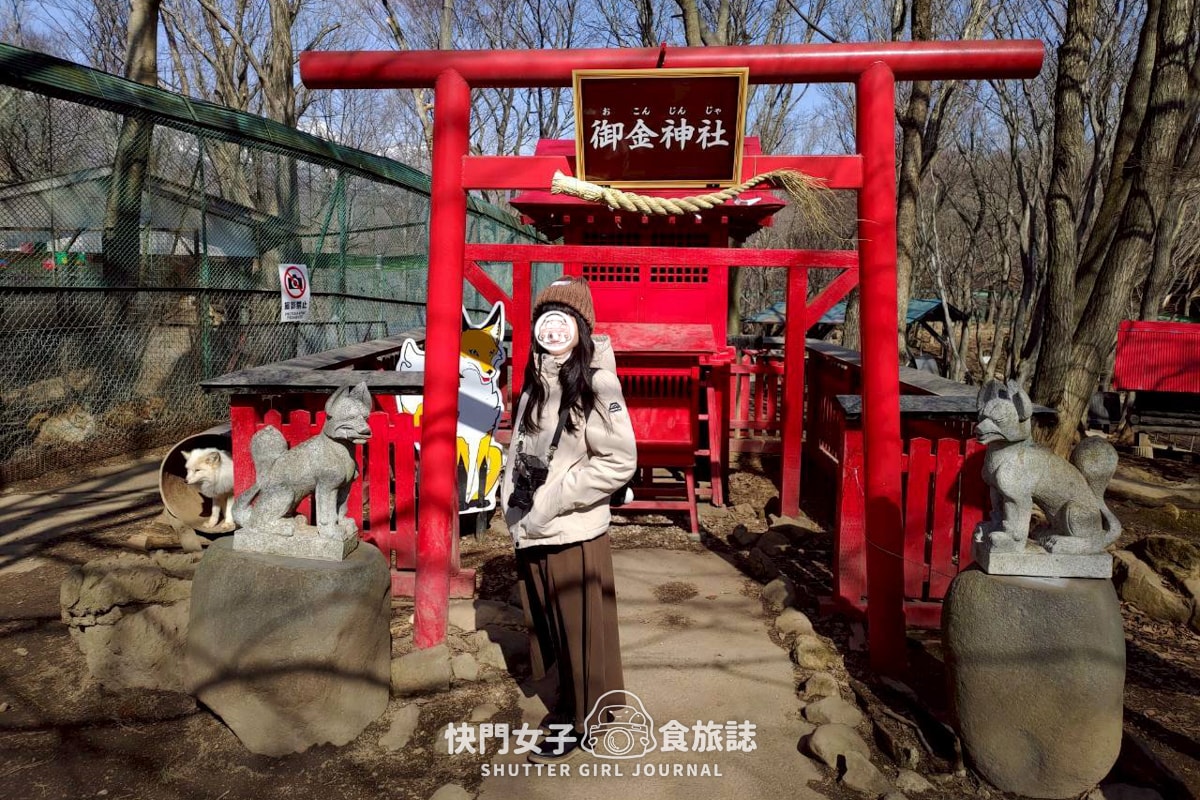 【日本 宮城縣】藏王狐狸村 x 近距離觀賞可愛狐狸 x 體驗抱可愛狐狸 - 第15張圖 【日本 宮城縣】藏王狐狸村 x 近距離觀賞可愛狐狸 x 體驗抱可愛狐狸