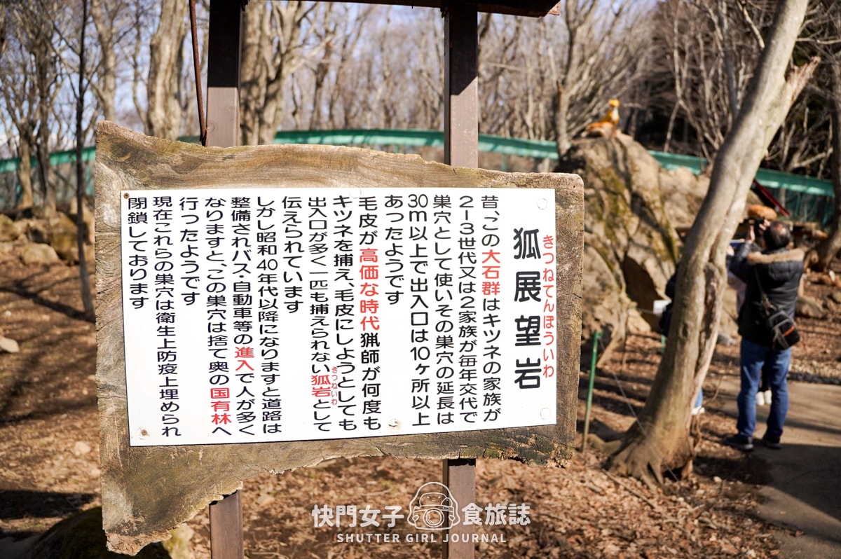 【日本 宮城縣】藏王狐狸村 x 近距離觀賞可愛狐狸 x 體驗抱可愛狐狸 - 第20張圖 【日本 宮城縣】藏王狐狸村 x 近距離觀賞可愛狐狸 x 體驗抱可愛狐狸