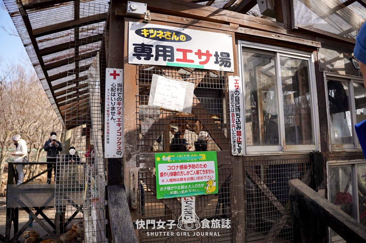 【日本 宮城縣】藏王狐狸村 x 近距離觀賞可愛狐狸 x 體驗抱可愛狐狸 - 第22張圖 【日本 宮城縣】藏王狐狸村 x 近距離觀賞可愛狐狸 x 體驗抱可愛狐狸