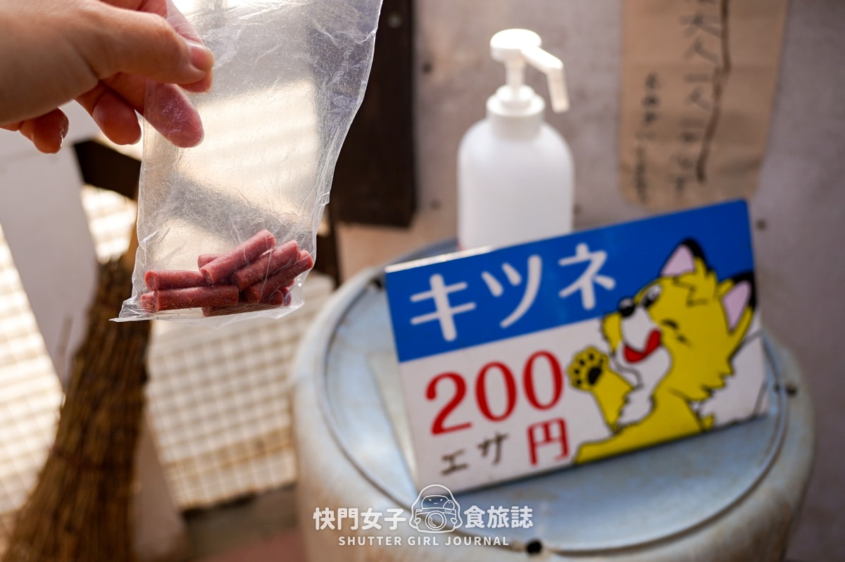 【日本 宮城縣】藏王狐狸村 x 近距離觀賞可愛狐狸 x 體驗抱可愛狐狸 - 第23張圖 【日本 宮城縣】藏王狐狸村 x 近距離觀賞可愛狐狸 x 體驗抱可愛狐狸