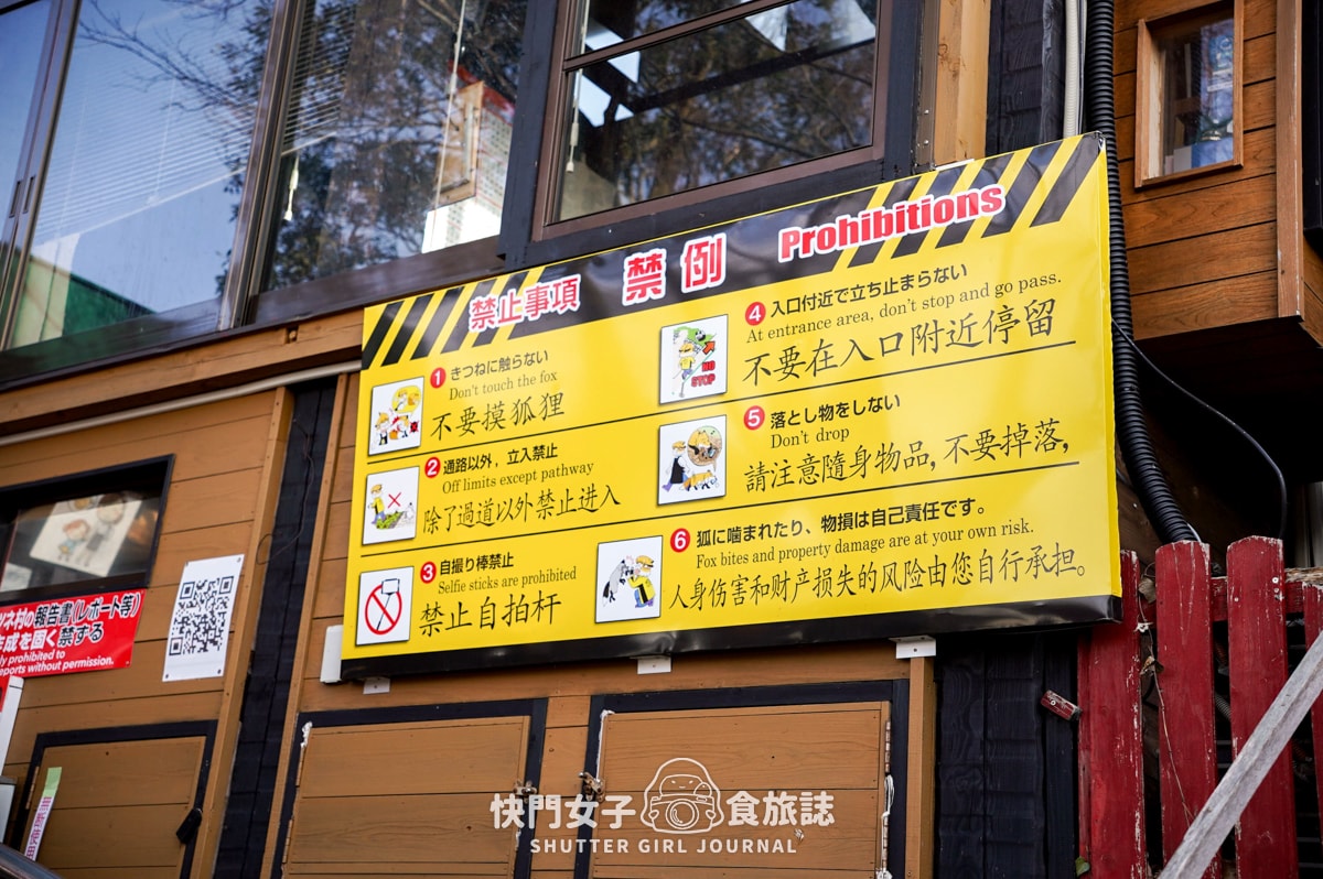 【日本 宮城縣】藏王狐狸村 x 近距離觀賞可愛狐狸 x 體驗抱可愛狐狸 - 第3張圖 【日本 宮城縣】藏王狐狸村 x 近距離觀賞可愛狐狸 x 體驗抱可愛狐狸