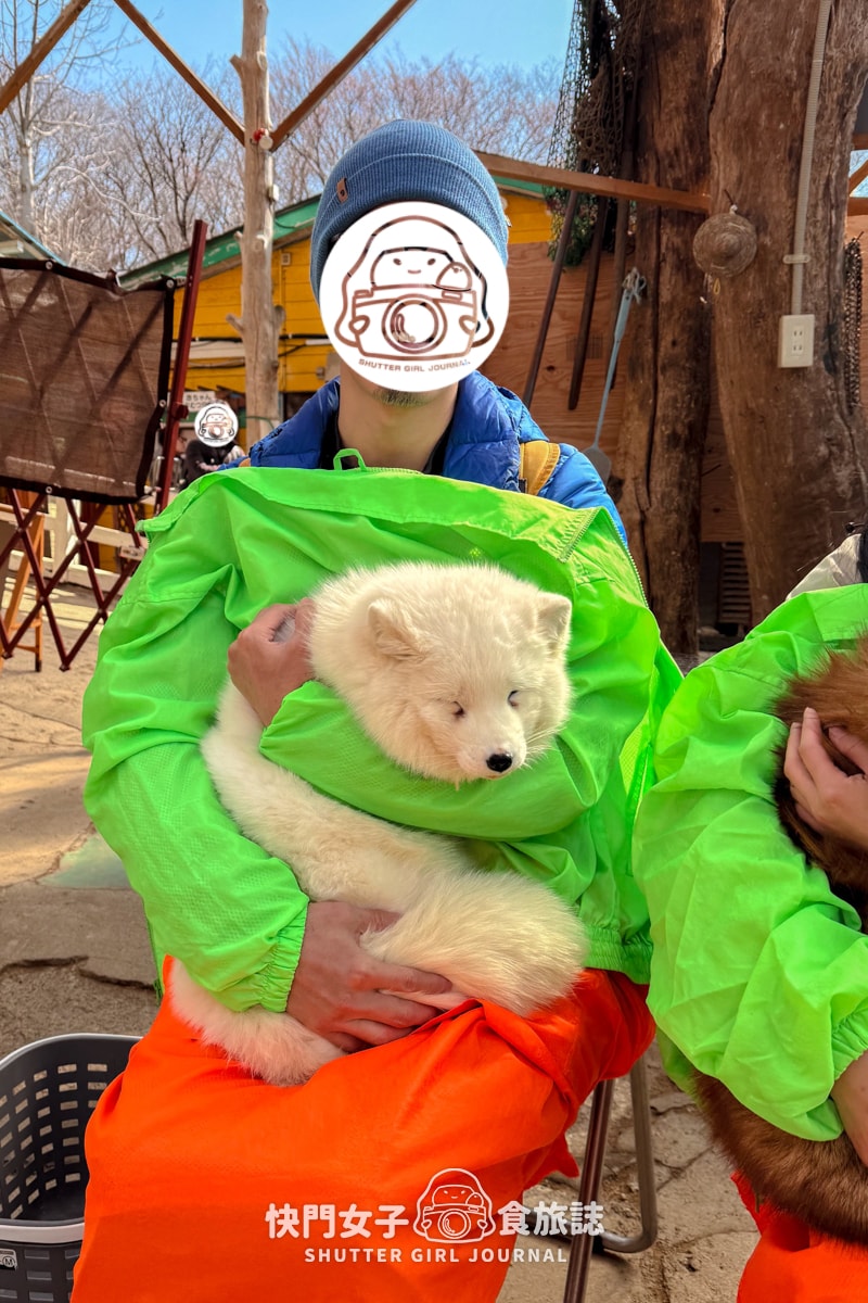 【日本 宮城縣】藏王狐狸村 x 近距離觀賞可愛狐狸 x 體驗抱可愛狐狸 - 第34張圖 【日本 宮城縣】藏王狐狸村 x 近距離觀賞可愛狐狸 x 體驗抱可愛狐狸