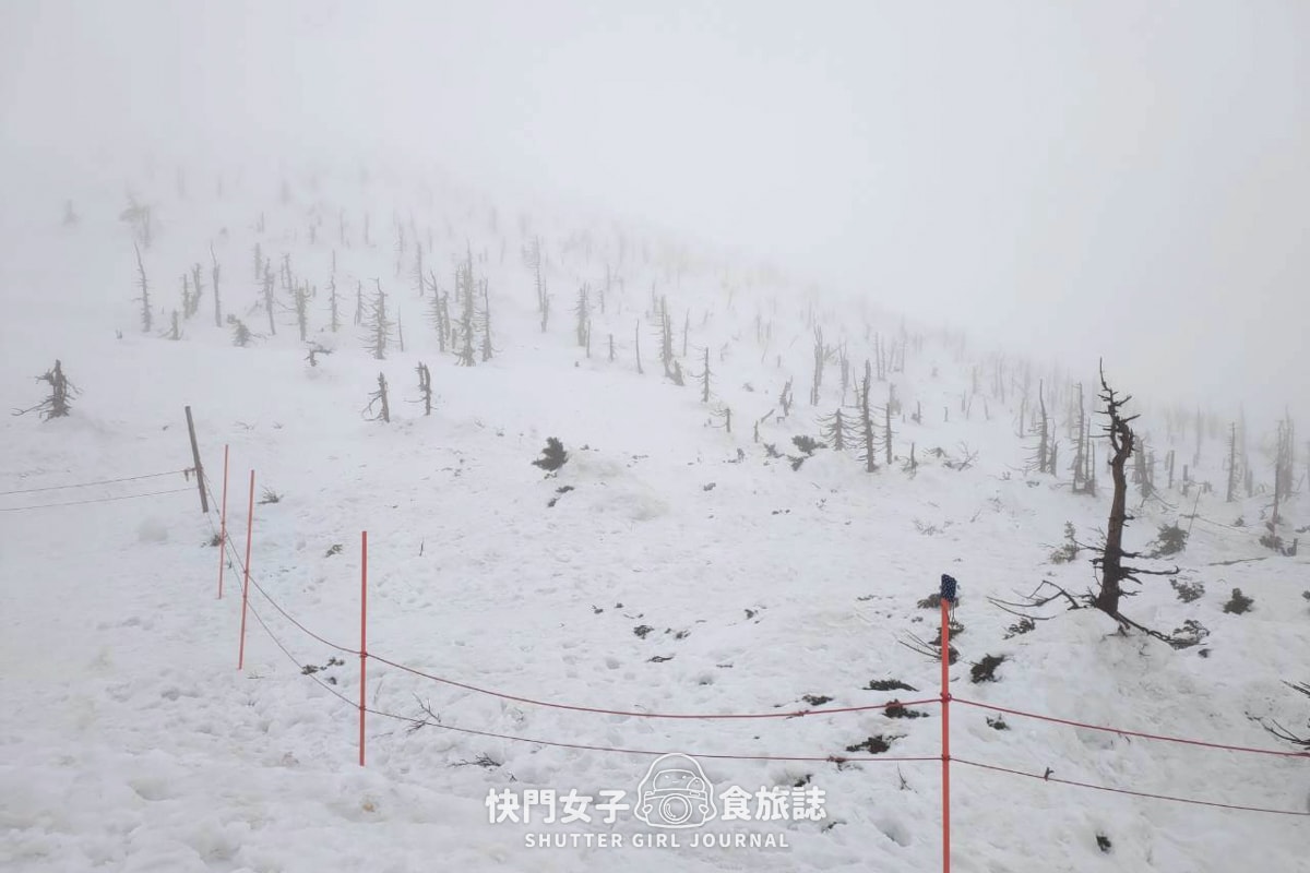 【日本 山形縣】藏王滑雪場體驗夜滑 x 沒有樹冰只有樹枝 x 雪場人氣餐廳三五郎小屋 - 第32張圖 【日本 山形縣】藏王滑雪場體驗夜滑 x 沒有樹冰只有樹枝 x 雪場人氣餐廳三五郎小屋