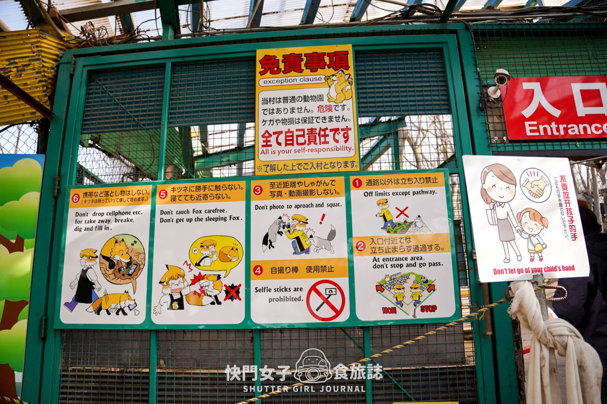 【日本 宮城縣】藏王狐狸村 x 近距離觀賞可愛狐狸 x 體驗抱可愛狐狸 - 第4張圖 【日本 宮城縣】藏王狐狸村 x 近距離觀賞可愛狐狸 x 體驗抱可愛狐狸