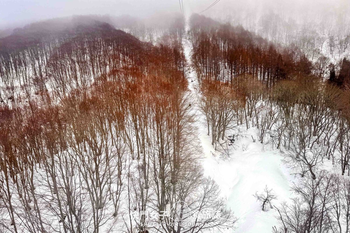 【日本 山形縣】藏王滑雪場體驗夜滑 x 沒有樹冰只有樹枝 x 雪場人氣餐廳三五郎小屋 - 第40張圖 【日本 山形縣】藏王滑雪場體驗夜滑 x 沒有樹冰只有樹枝 x 雪場人氣餐廳三五郎小屋