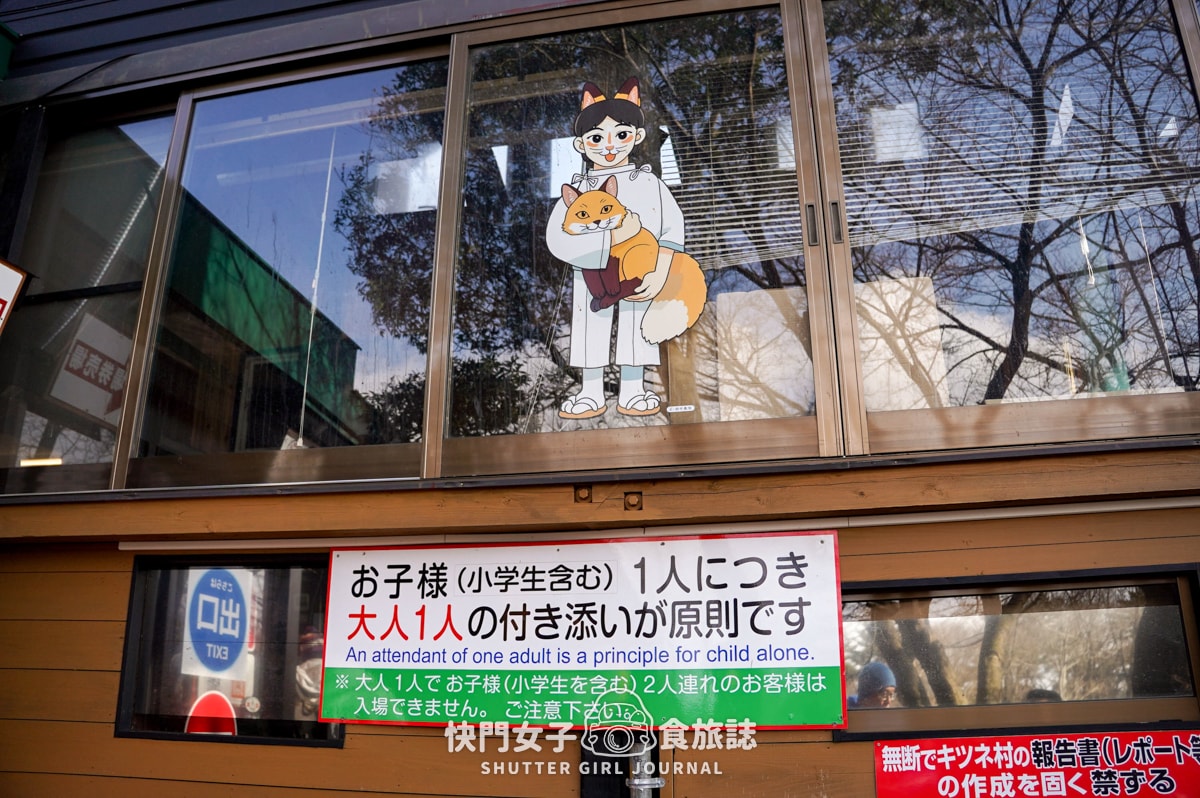 【日本 宮城縣】藏王狐狸村 x 近距離觀賞可愛狐狸 x 體驗抱可愛狐狸 - 第5張圖 【日本 宮城縣】藏王狐狸村 x 近距離觀賞可愛狐狸 x 體驗抱可愛狐狸