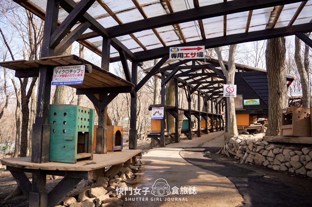 【日本 宮城縣】藏王狐狸村 x 近距離觀賞可愛狐狸 x 體驗抱可愛狐狸 - 第6張圖 【日本 宮城縣】藏王狐狸村 x 近距離觀賞可愛狐狸 x 體驗抱可愛狐狸