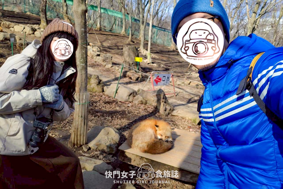 【日本 宮城縣】藏王狐狸村 x 近距離觀賞可愛狐狸 x 體驗抱可愛狐狸 - 第10張圖 【日本 宮城縣】藏王狐狸村 x 近距離觀賞可愛狐狸 x 體驗抱可愛狐狸