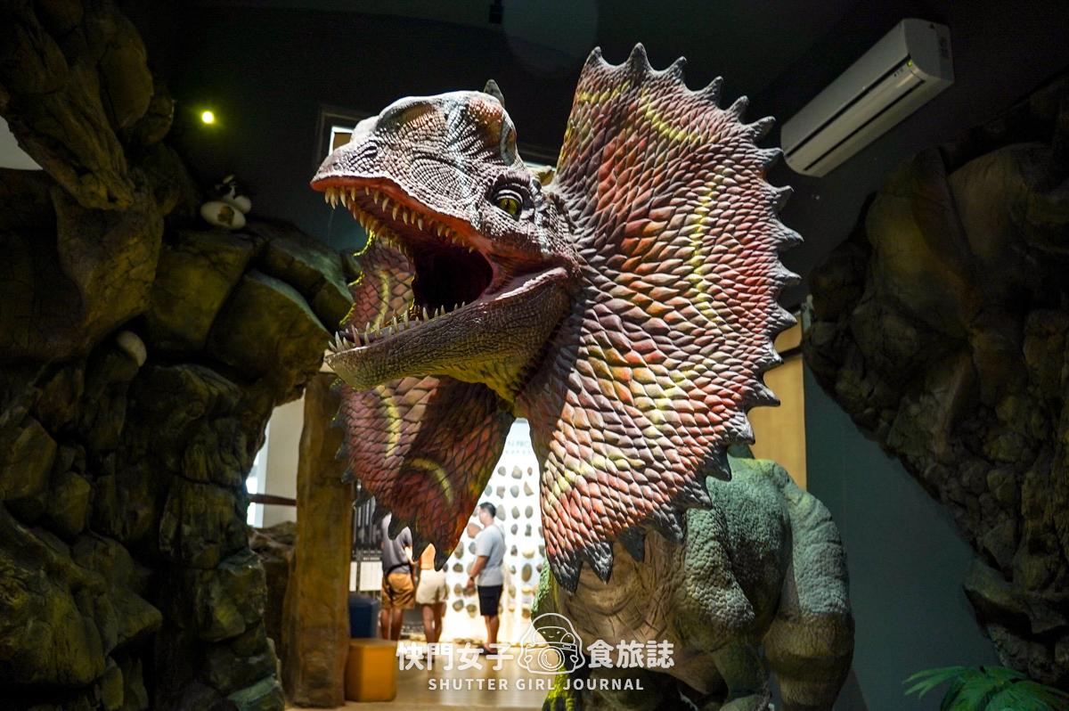 【澎湖 西嶼鄉】小門地質探索館 x 恐龍化石與玄武岩介紹 x 鬼斧神工鯨魚洞