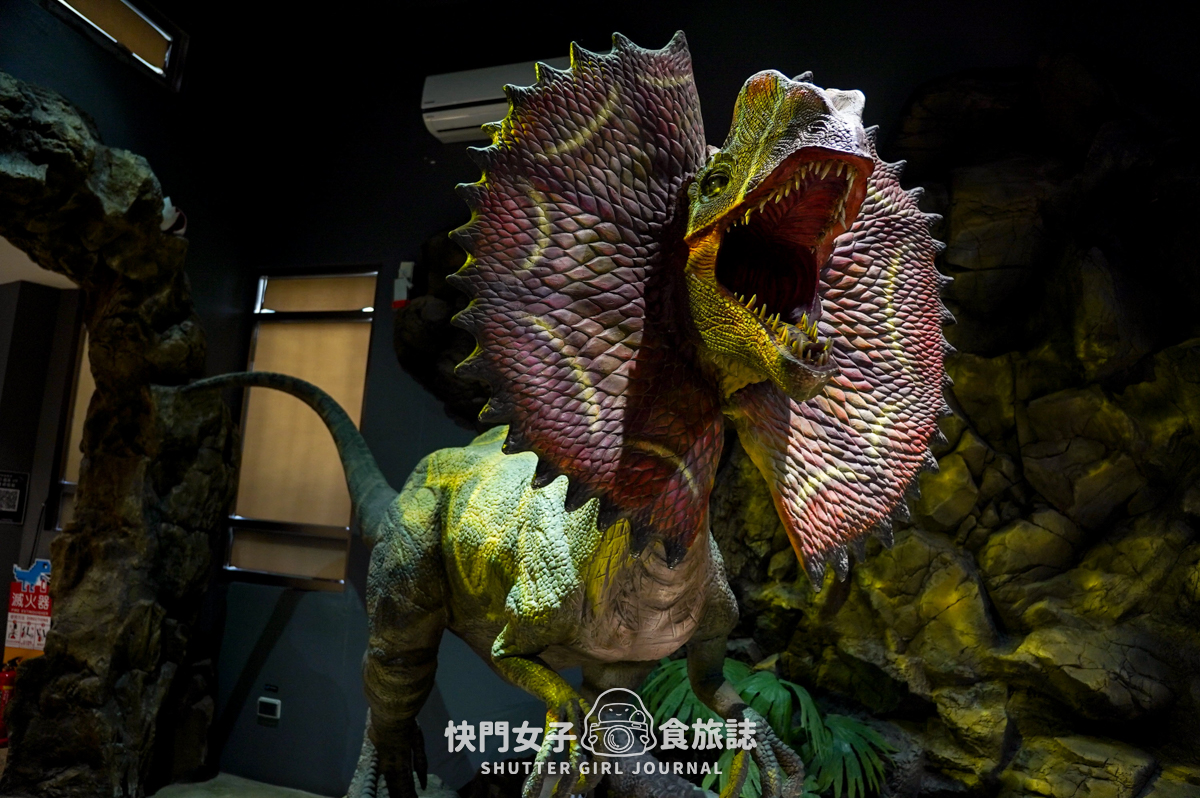 【澎湖 西嶼鄉】小門地質探索館 x 恐龍化石與玄武岩介紹 x 鬼斧神工鯨魚洞