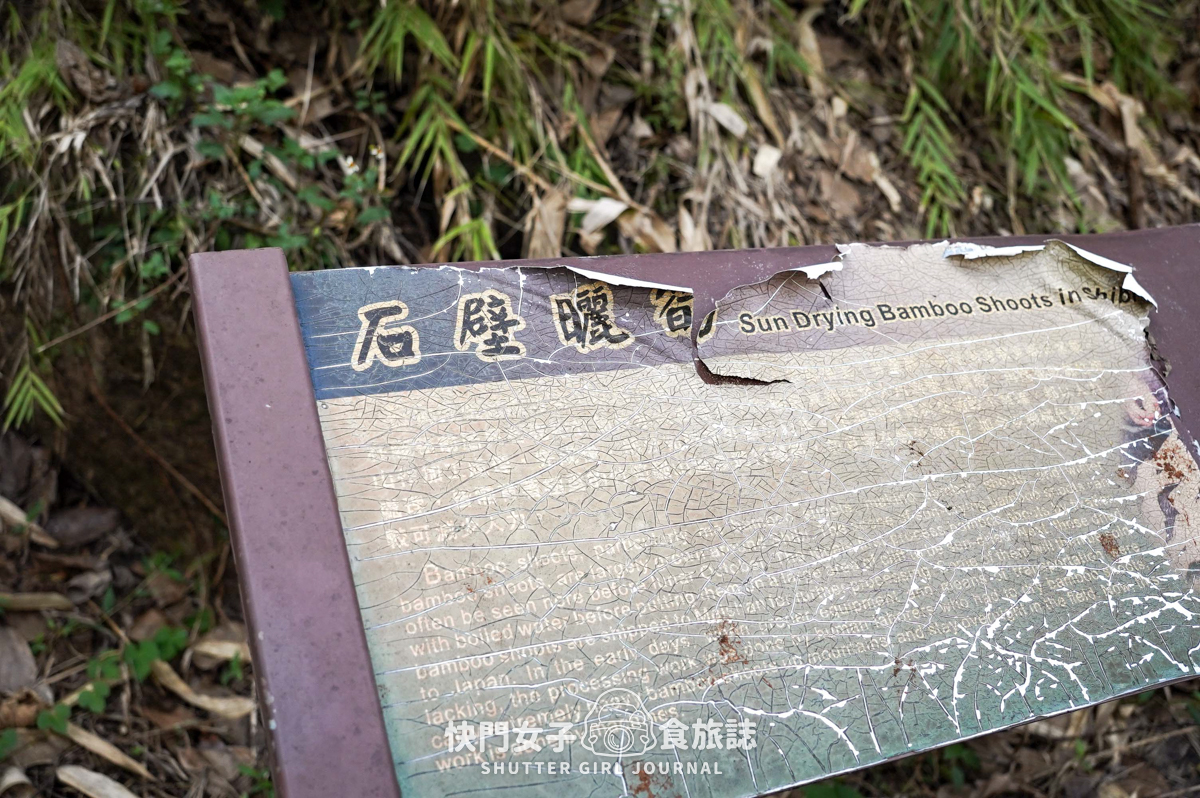 【雲林 古坑鄉】峭壁雄風 x 持明寺旁的迷你攀岩場 x 45度傾斜石壁