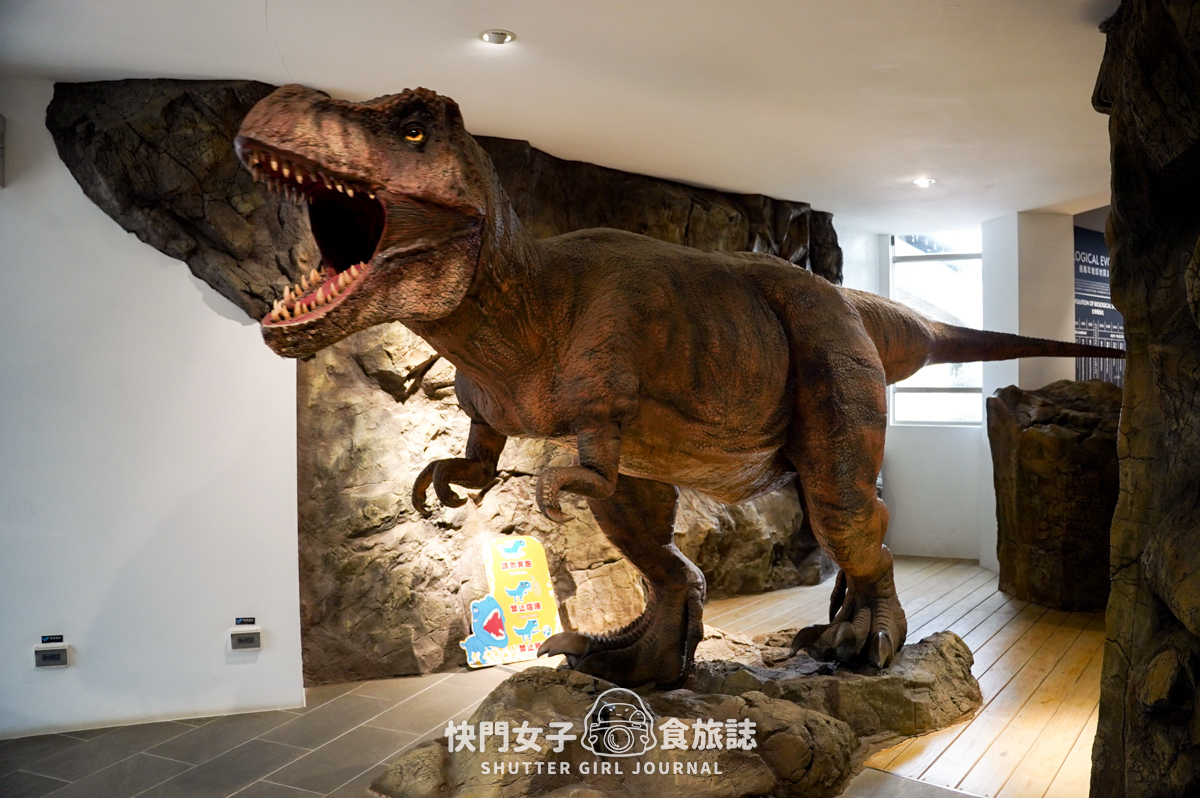 【澎湖 西嶼鄉】小門地質探索館 x 恐龍化石與玄武岩介紹 x 鬼斧神工鯨魚洞