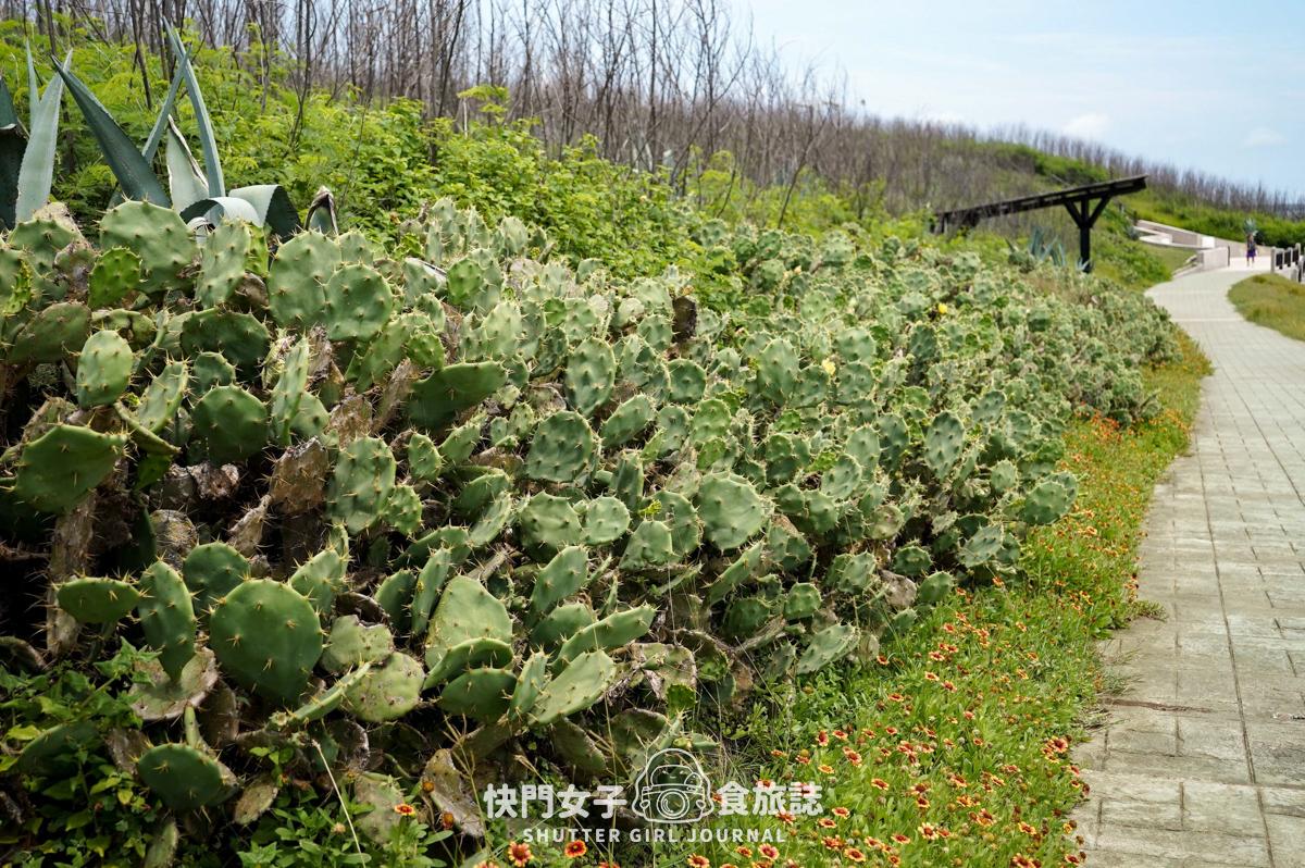 【蛇頭山】澎湖小百岳 x 只要散步20分鐘內就能抵達的小百岳 - 第12張圖 【蛇頭山】澎湖小百岳 x 只要散步20分鐘內就能抵達的小百岳