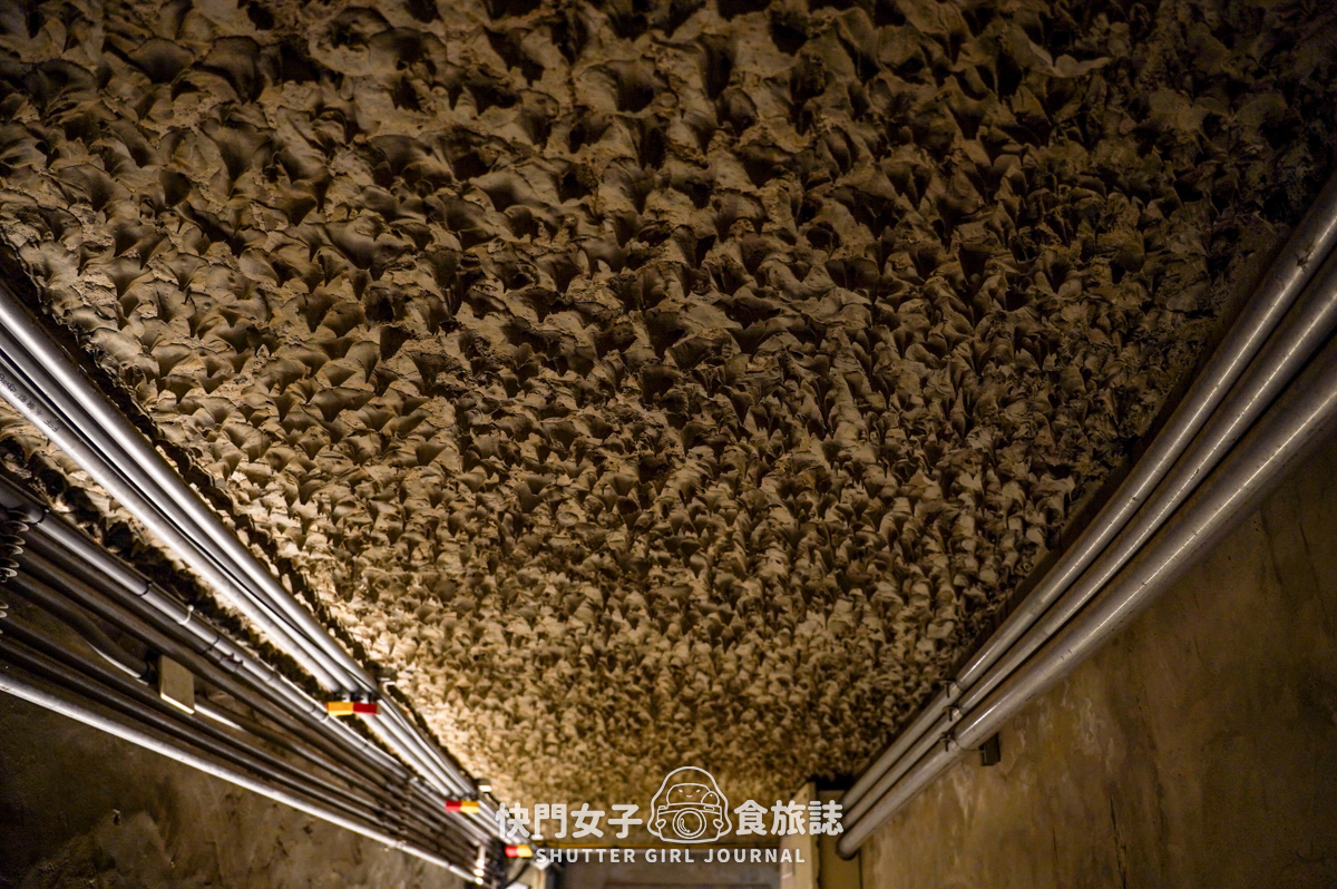 【澎湖 湖西鄉】龍門閉鎖陣地 x 參觀地底坑道 x 體驗機關槍 x 走訪摸黑炮彈坑道