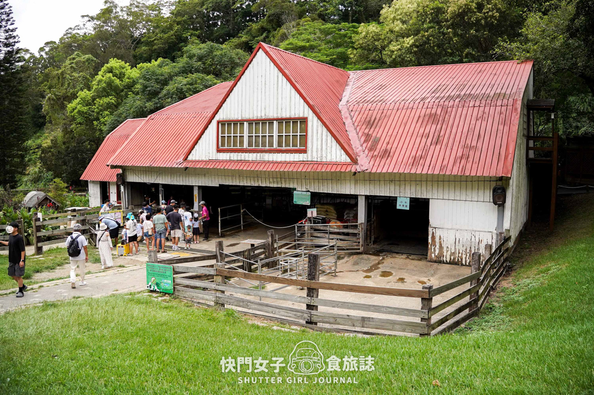 【苗栗 通霄鎮】飛牛牧場 x 體驗擠牛乳餵食小羊 x 品嚐乳製品布丁