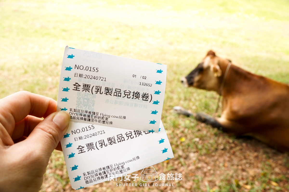 【苗栗 通霄鎮】飛牛牧場 x 體驗擠牛乳餵食小羊 x 品嚐乳製品布丁