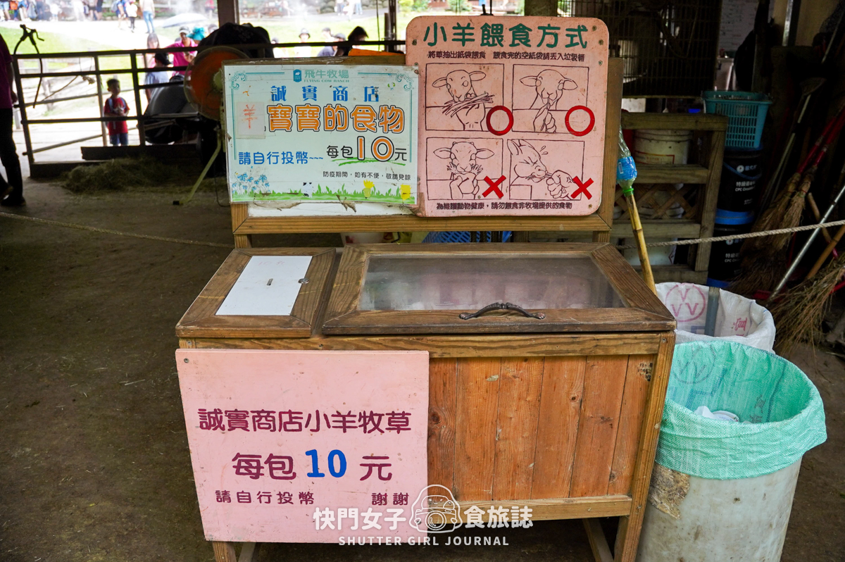 【苗栗 通霄鎮】飛牛牧場 x 體驗擠牛乳餵食小羊 x 品嚐乳製品布丁