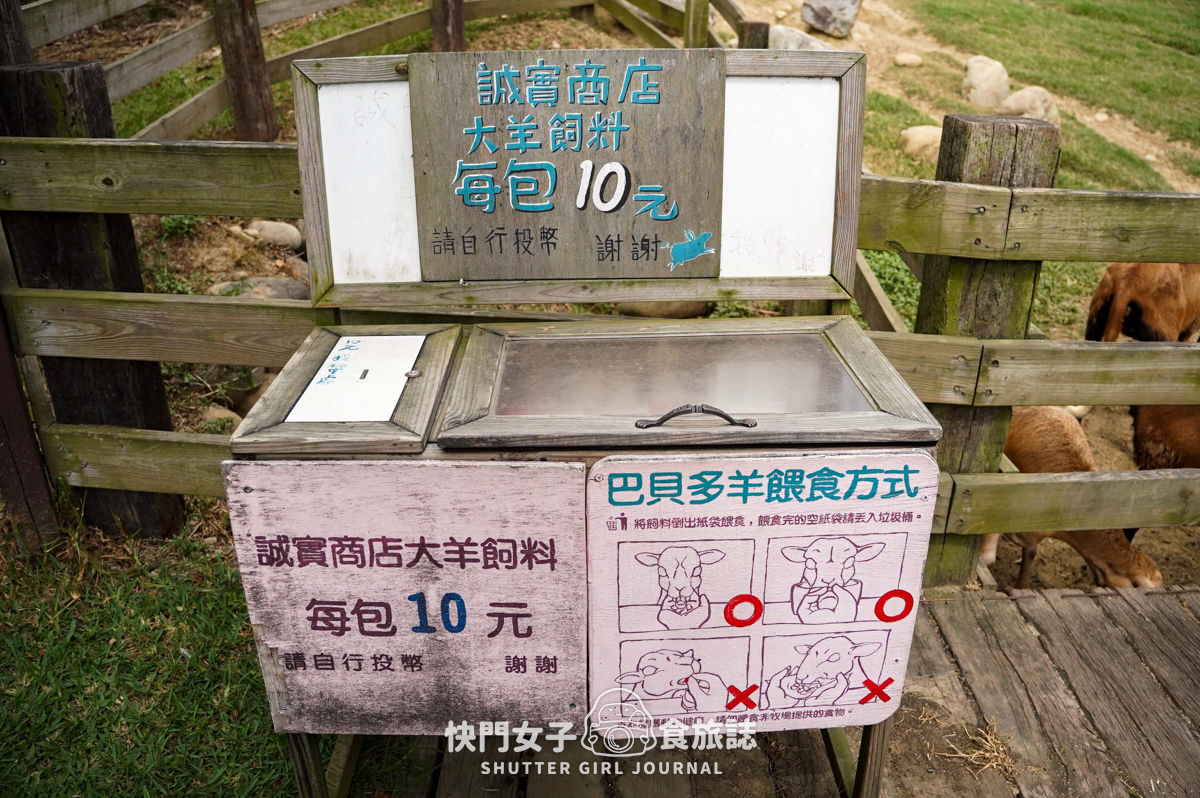 【苗栗 通霄鎮】飛牛牧場 x 體驗擠牛乳餵食小羊 x 品嚐乳製品布丁