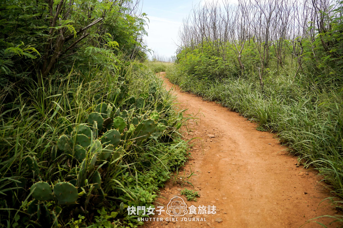 【蛇頭山】澎湖小百岳 x 只要散步20分鐘內就能抵達的小百岳 - 第24張圖 【蛇頭山】澎湖小百岳 x 只要散步20分鐘內就能抵達的小百岳