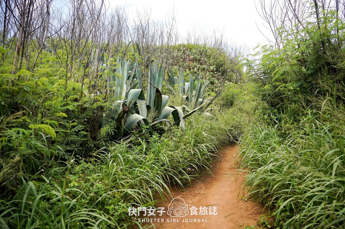 【蛇頭山】澎湖小百岳 x 只要散步20分鐘內就能抵達的小百岳 - 第25張圖 【蛇頭山】澎湖小百岳 x 只要散步20分鐘內就能抵達的小百岳