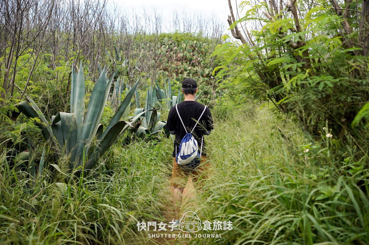 【蛇頭山】澎湖小百岳 x 只要散步20分鐘內就能抵達的小百岳 - 第26張圖 【蛇頭山】澎湖小百岳 x 只要散步20分鐘內就能抵達的小百岳