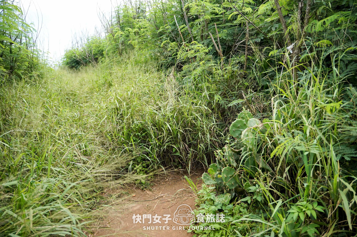【蛇頭山】澎湖小百岳 x 只要散步20分鐘內就能抵達的小百岳 - 第27張圖 【蛇頭山】澎湖小百岳 x 只要散步20分鐘內就能抵達的小百岳