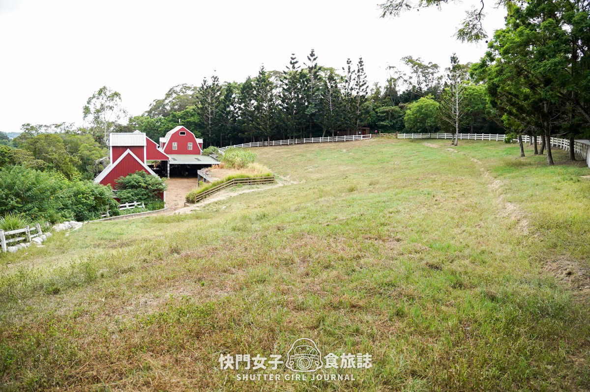 【苗栗 通霄鎮】飛牛牧場 x 體驗擠牛乳餵食小羊 x 品嚐乳製品布丁