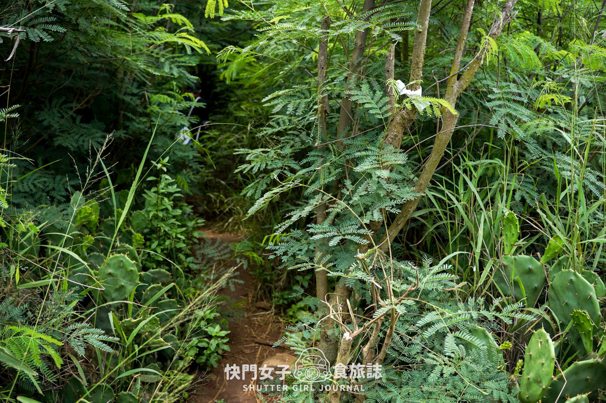 【蛇頭山】澎湖小百岳 x 只要散步20分鐘內就能抵達的小百岳 - 第28張圖 【蛇頭山】澎湖小百岳 x 只要散步20分鐘內就能抵達的小百岳