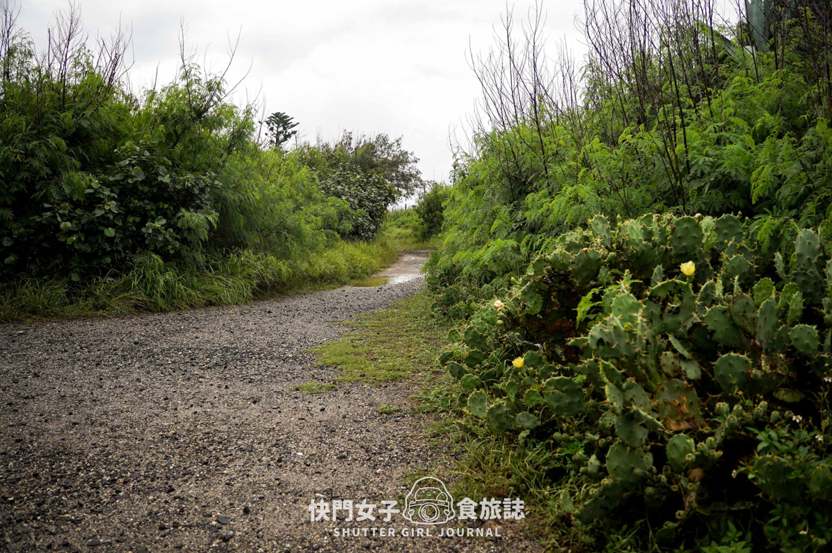 【澎湖 湖西鄉】龍門閉鎖陣地 x 參觀地底坑道 x 體驗機關槍 x 走訪摸黑炮彈坑道