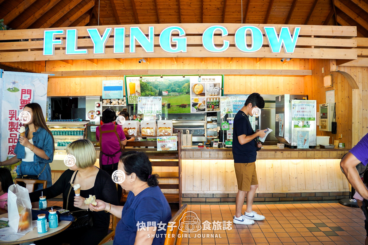 【苗栗 通霄鎮】飛牛牧場 x 體驗擠牛乳餵食小羊 x 品嚐乳製品布丁