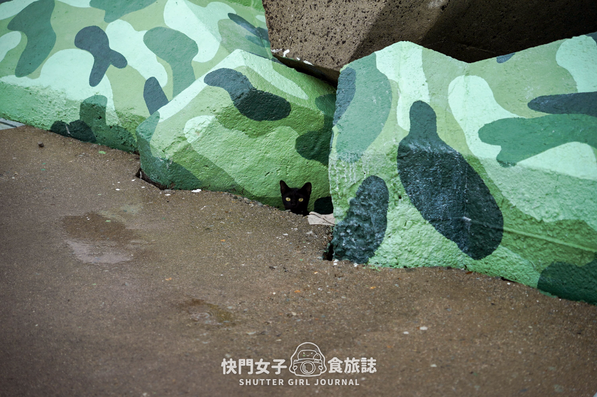 【澎湖 湖西鄉】龍門閉鎖陣地 x 參觀地底坑道 x 體驗機關槍 x 走訪摸黑炮彈坑道