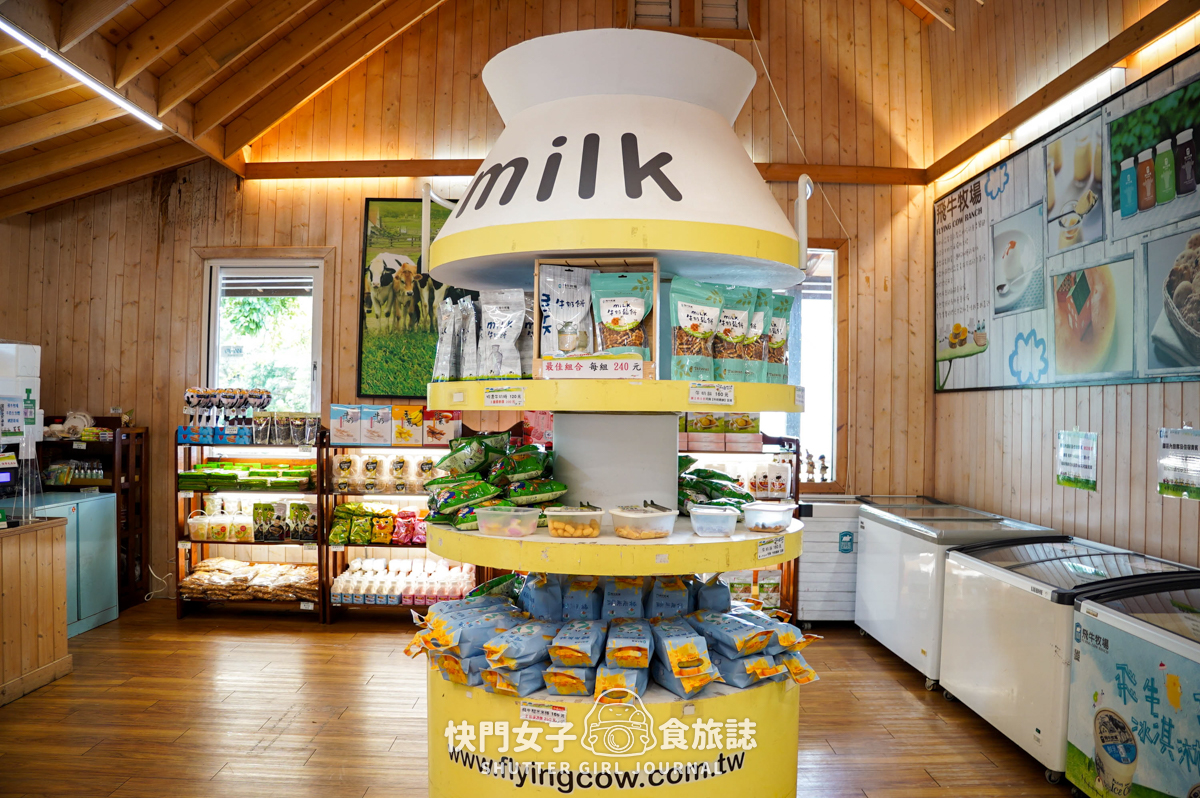 【苗栗 通霄鎮】飛牛牧場 x 體驗擠牛乳餵食小羊 x 品嚐乳製品布丁