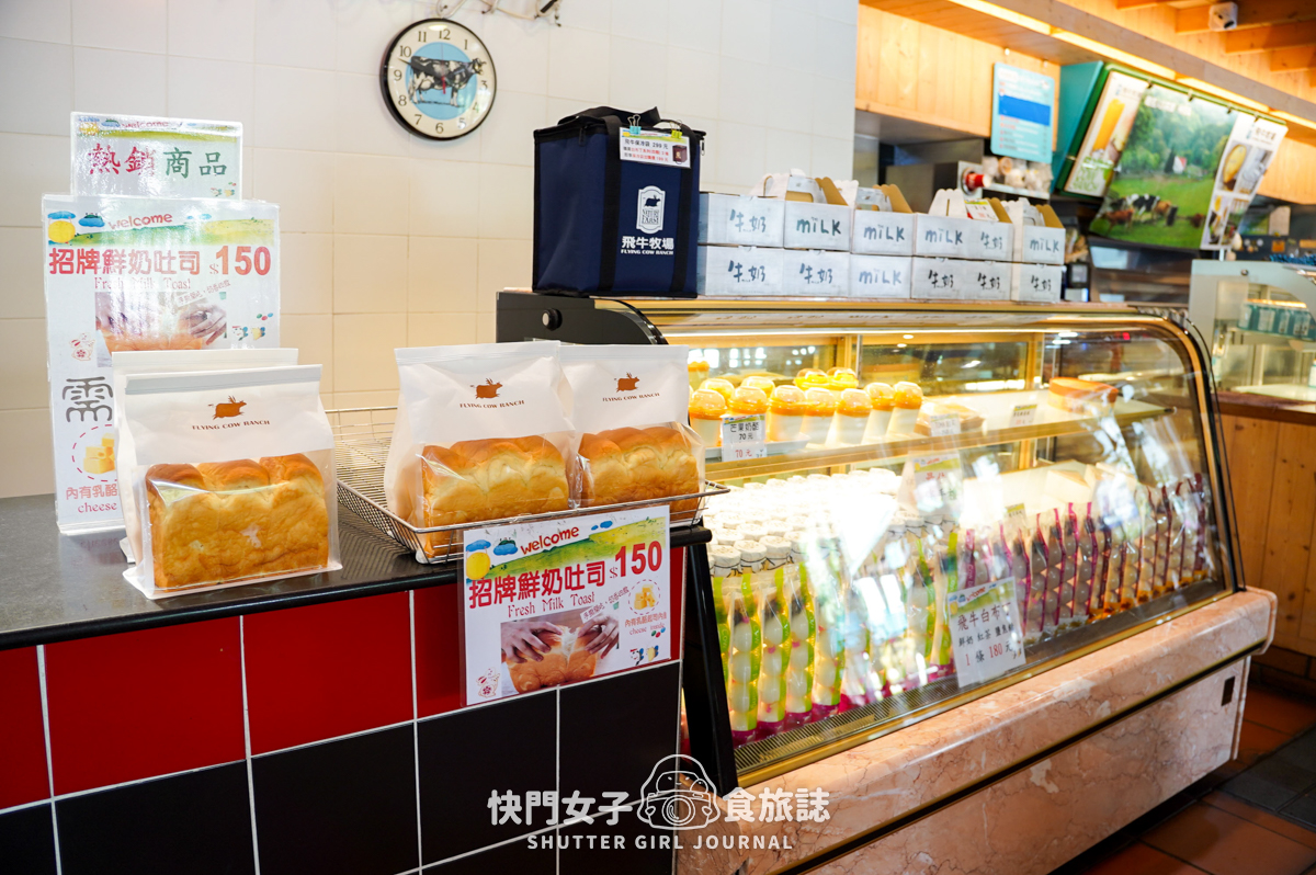 【苗栗 通霄鎮】飛牛牧場 x 體驗擠牛乳餵食小羊 x 品嚐乳製品布丁