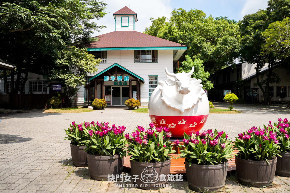 【苗栗 通霄鎮】飛牛牧場 x 體驗擠牛乳餵食小羊 x 品嚐乳製品布丁