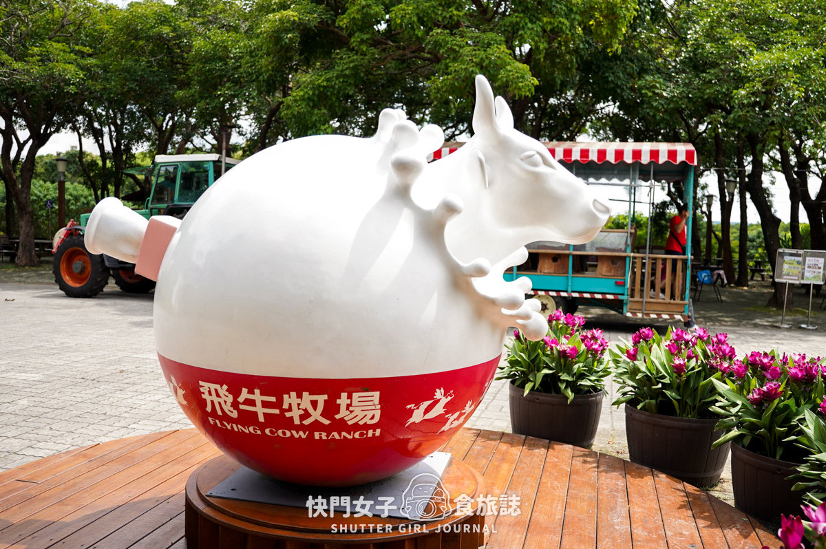 【苗栗 通霄鎮】飛牛牧場 x 體驗擠牛乳餵食小羊 x 品嚐乳製品布丁