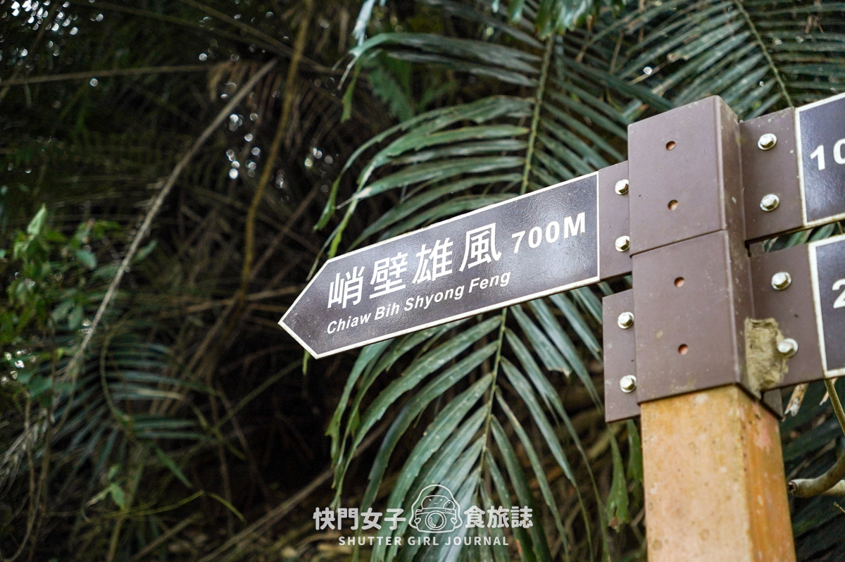【雲林 古坑鄉】峭壁雄風 x 持明寺旁的迷你攀岩場 x 45度傾斜石壁