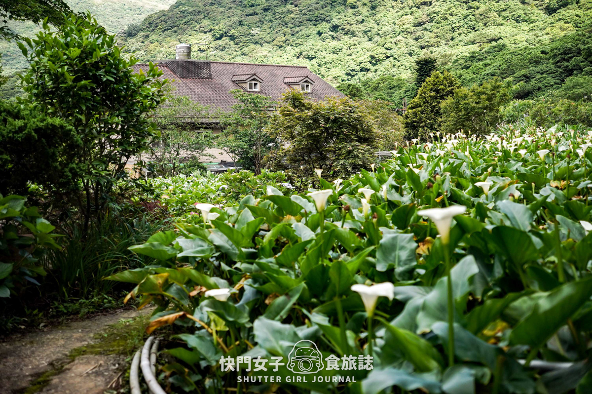 【台北大縱走第二段】挑戰拉繩攀爬大屯山連峰步道 x 欣賞竹子湖繡球花海