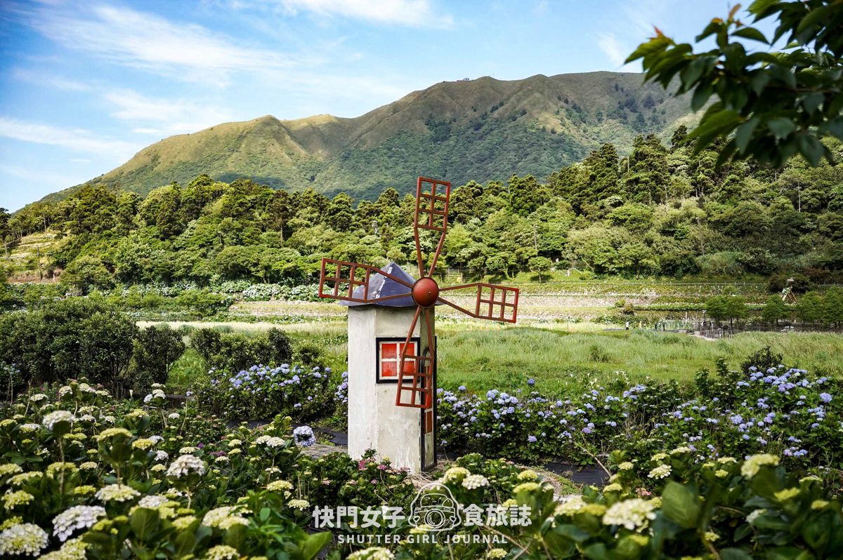 【台北大縱走第二段】挑戰拉繩攀爬大屯山連峰步道 x 欣賞竹子湖繡球花海