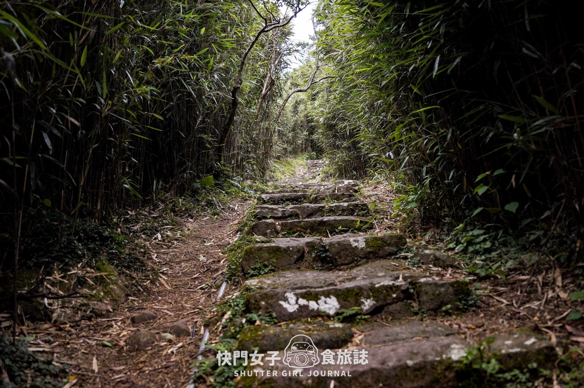 【台北大縱走第二段】挑戰拉繩攀爬大屯山連峰步道 x 欣賞竹子湖繡球花海