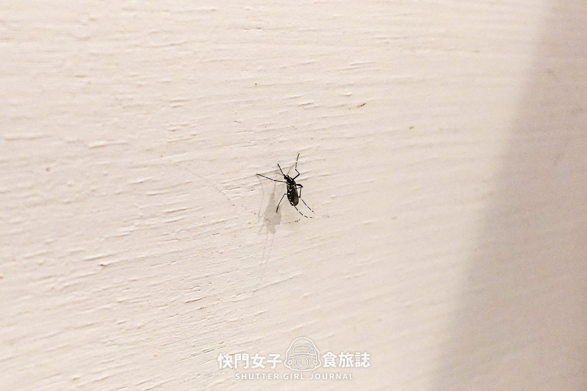 【桃園 中壢區】中平路故事館 x 免費參觀日式建築 x 了解桃園中壢歷史 - 第21張圖 【桃園 中壢區】中平路故事館 x 免費參觀日式建築 x 了解桃園中壢歷史