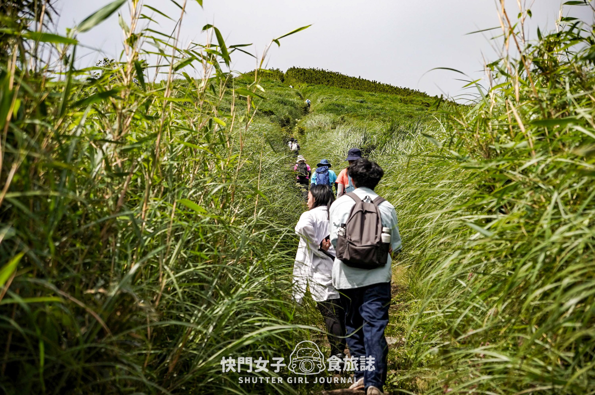 【台北大縱走第二段】挑戰拉繩攀爬大屯山連峰步道 x 欣賞竹子湖繡球花海