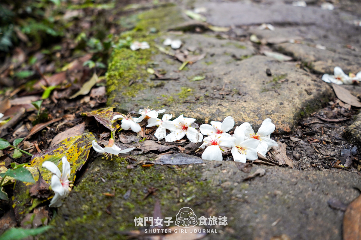 【台北大縱走第四段】圓覺寺瀑布 x 大溝溪生態治水公園 x 體感最無聊的一段