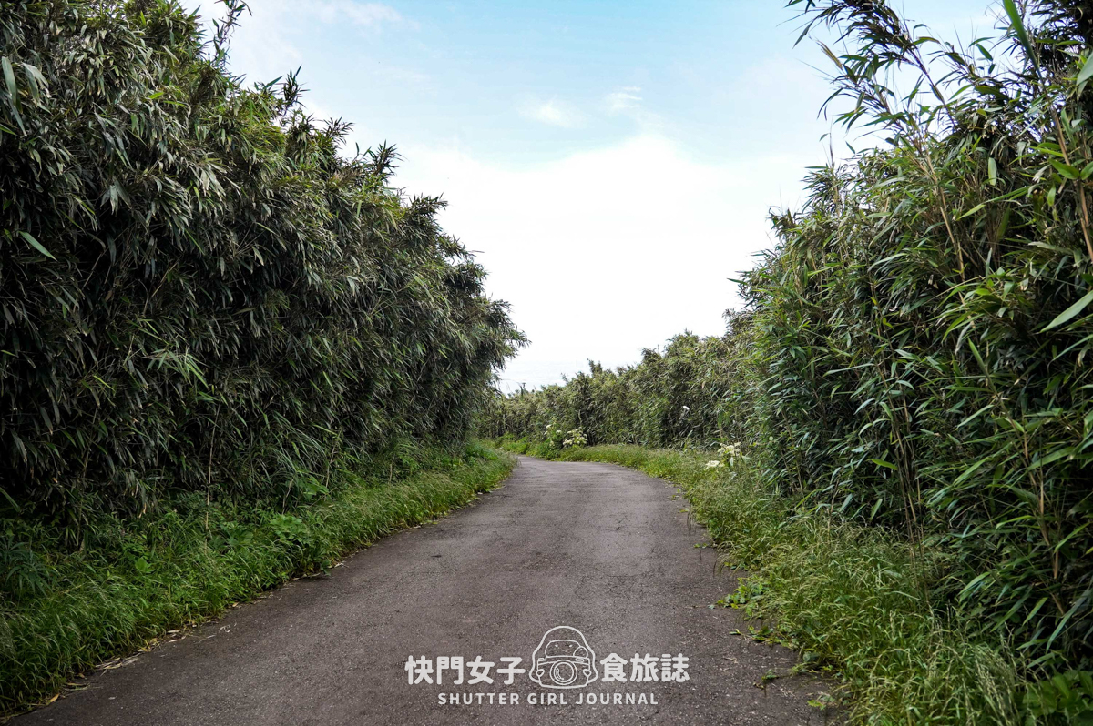 【台北大縱走第二段】挑戰拉繩攀爬大屯山連峰步道 x 欣賞竹子湖繡球花海