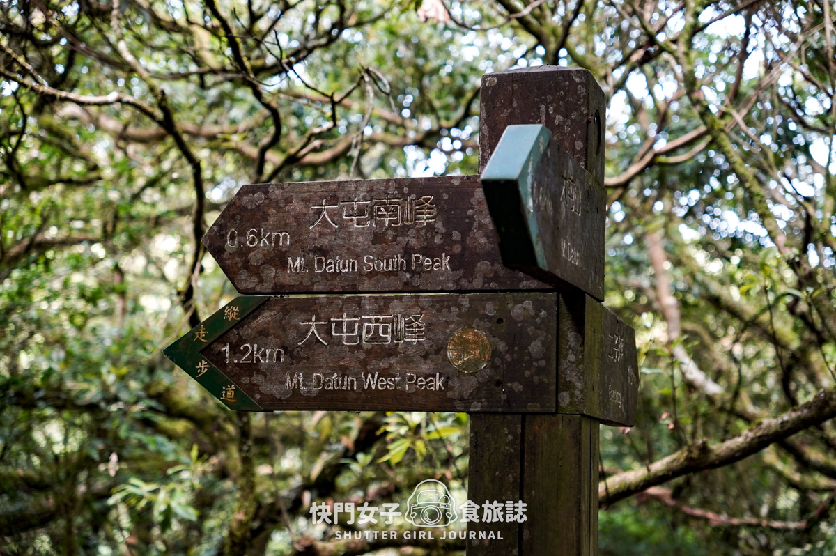 【台北大縱走第二段】挑戰拉繩攀爬大屯山連峰步道 x 欣賞竹子湖繡球花海