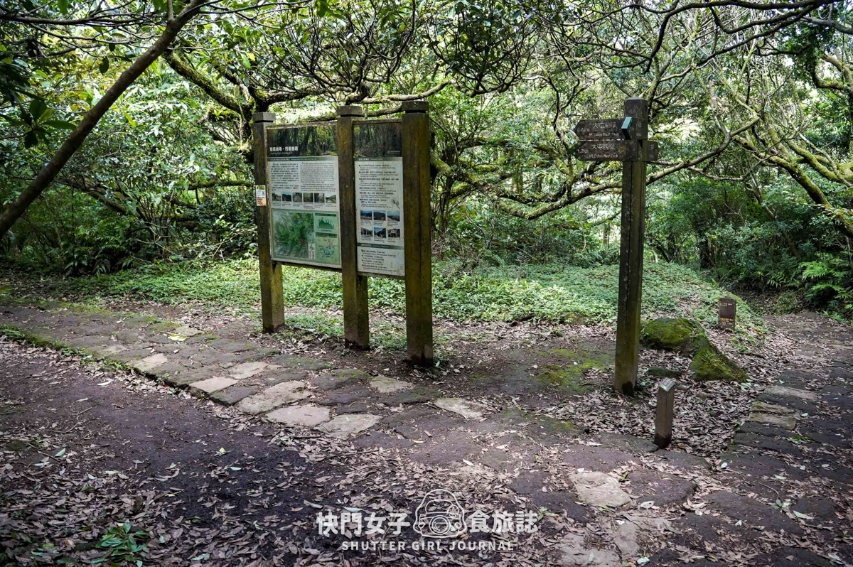 【台北大縱走第二段】挑戰拉繩攀爬大屯山連峰步道 x 欣賞竹子湖繡球花海