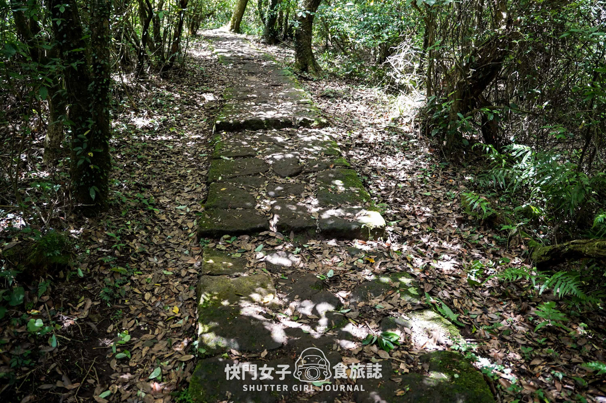 【台北大縱走第二段】挑戰拉繩攀爬大屯山連峰步道 x 欣賞竹子湖繡球花海