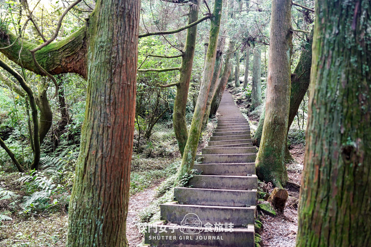 【台北大縱走第三段】台北最高峰七星山 x 橫跨擎天崗大草原 x 地形多變風景優美 - 第37張圖 【台北大縱走第三段】台北最高峰七星山 x 橫跨擎天崗大草原 x 地形多變風景優美